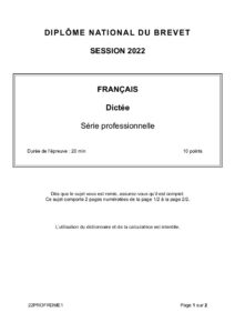 sujet francais brevet 2022