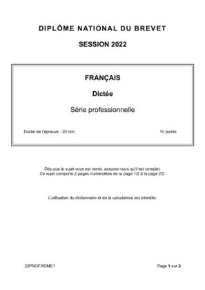 sujet francais brevet 2022