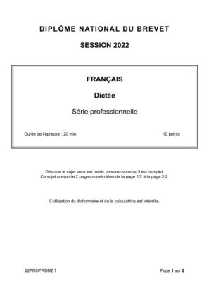 sujet francais brevet 2022