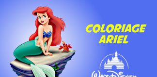 coloriage ariel