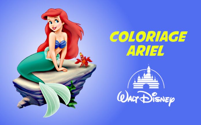 coloriage ariel