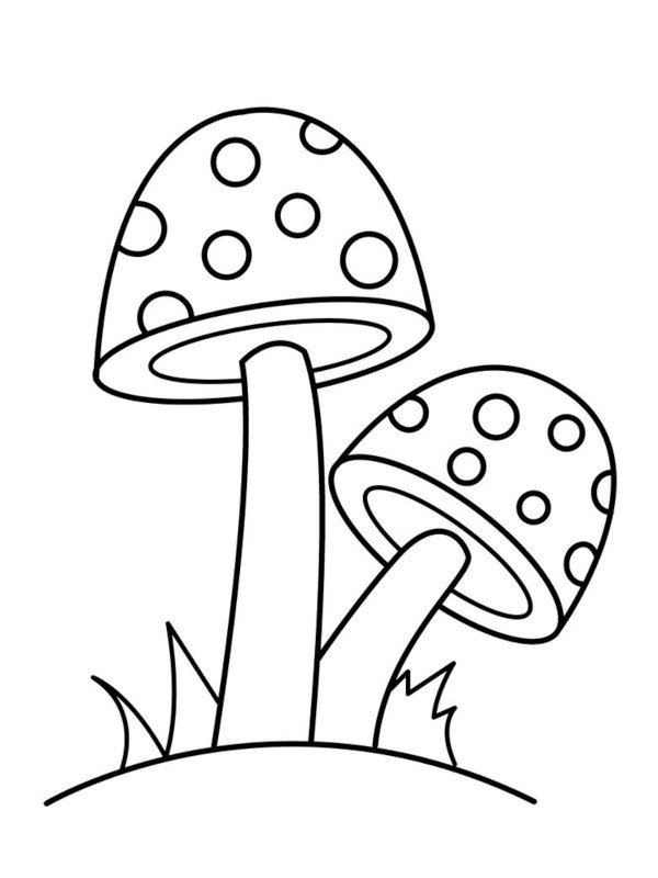coloriage champignon