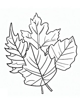 dessin feuille d'arbre
