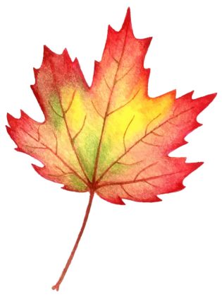 feuille d'automne dessin couleur