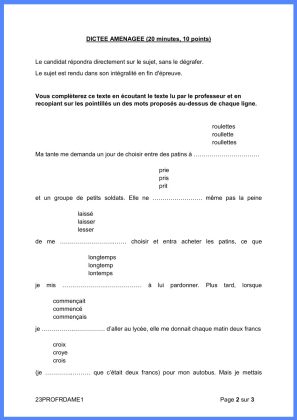 brevet 2023 sujet francais