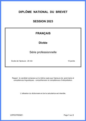 brevet 2023 sujet francais