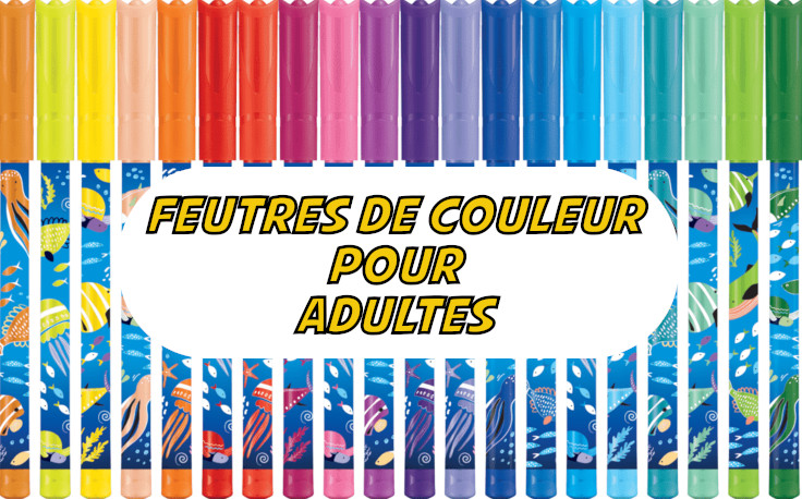 Feutres Coloriage Feutres Pinceaux Pointe du Pinceau Marqueurs Feutre  Conseils pour Adultes Couleur Stylos pour Adultes Adulte Coloration Stylos