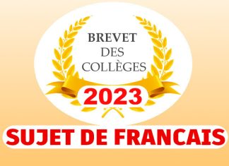 sujet francais brevet 2023