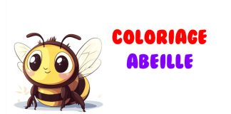 coloriage abeille