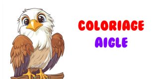 coloriage aigle