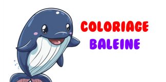 coloriage baleine