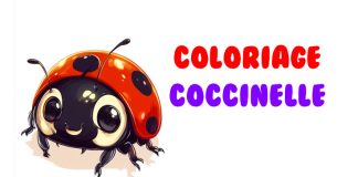 coloriage coccinelle