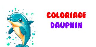 coloriage dauphin