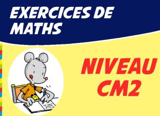exercice en maths cm2