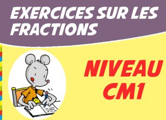 exercice fraction cm1