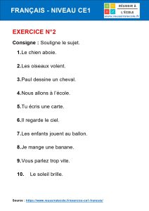 exercice francais ce1​