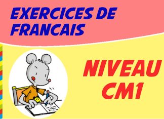 exercice francais cm1