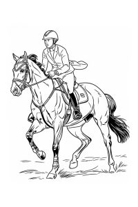 coloriage equitation coloriage equitation