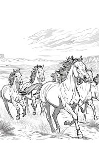 coloriage troupeau de chevaux coloriage troupeau de chevaux