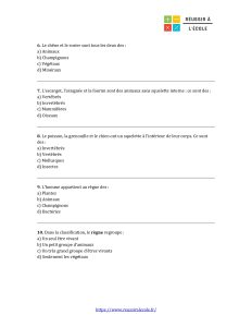 évaluation 6ème svt évaluation 6ème svt