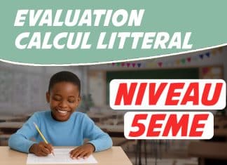 évaluation Calcul Littéral 5ème avec Corrigés PDF