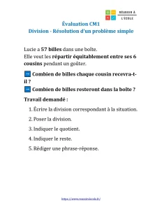 évaluation cm1 la division