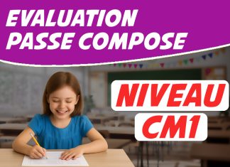 évaluation passé composé cm1