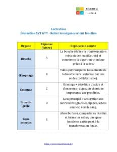 evaluation svt 6eme alimentation humaine