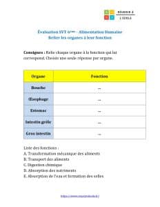 evaluation svt 6eme alimentation humaine pdf