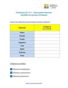 évaluation svt 6ème alimentation humaine pdf avec correction (2)