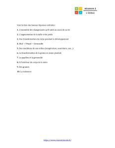 évaluation svt 6ème êtres vivants pdf évaluation svt 6ème êtres vivants pdf