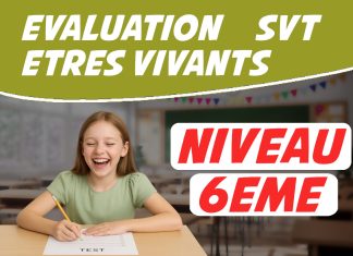 Évaluation SVT 6ème êtres vivants PDF avec Correction évaluation svt 6ème êtres vivants pdf