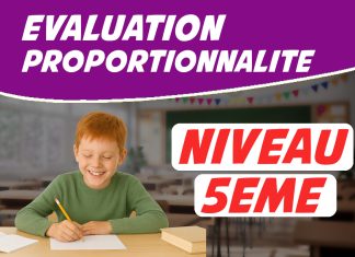 exercice proportionnalite 5eme