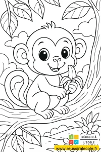 animaux kawaii animaux kawaii