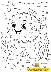 dessin facile animaux kawaii dessin facile animaux kawaii