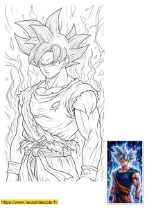 goku ultra instinct noir et blanc